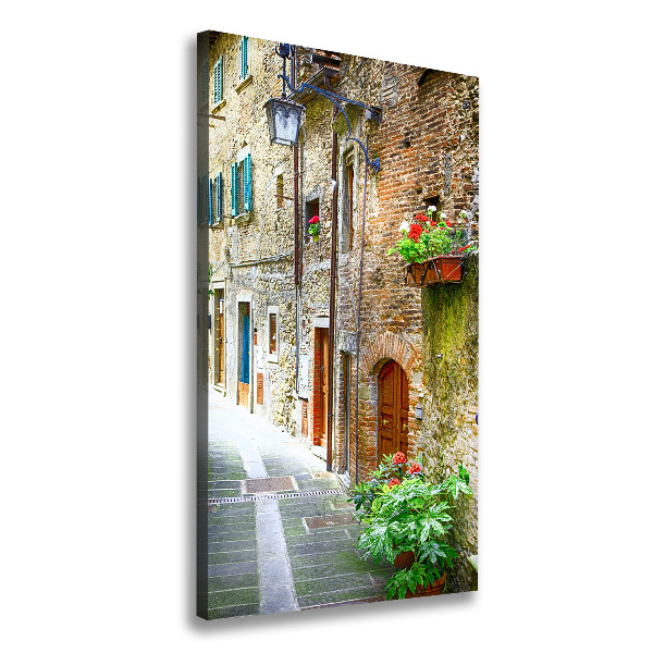 Cuadro moderno en lienzo resistente uv vertical calles italianas