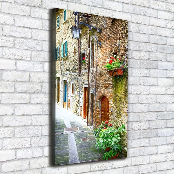 Cuadro moderno en lienzo resistente uv vertical calles italianas