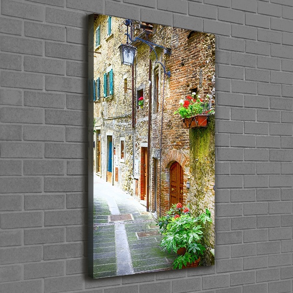 Cuadro moderno en lienzo resistente uv vertical calles italianas