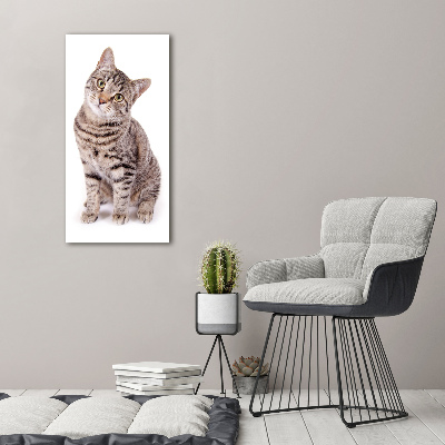 Fotografía en lienzo vertical Gato