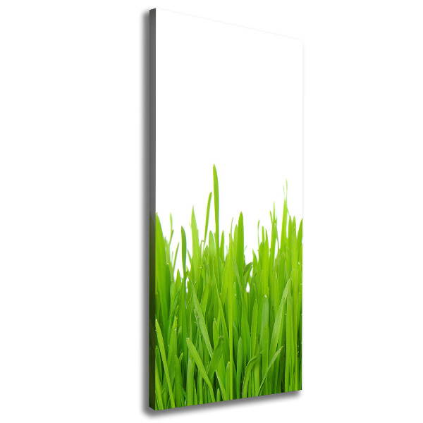 Fotografía en lienzo vertical Hierba verde