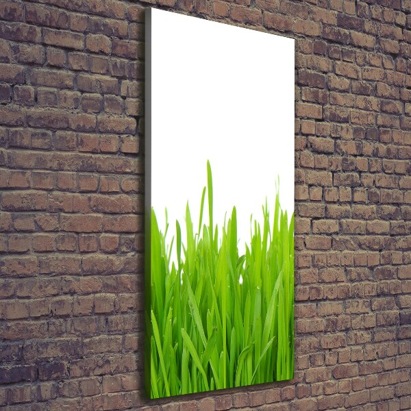 Fotografía en lienzo vertical Hierba verde