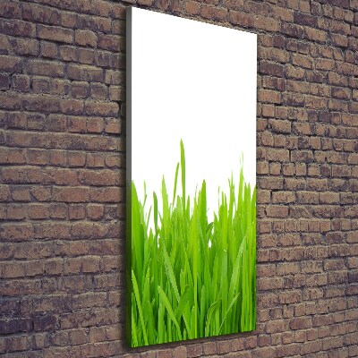 Fotografía en lienzo vertical Hierba verde