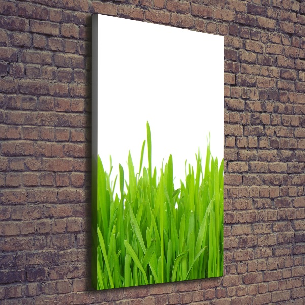 Fotografía en lienzo vertical Hierba verde