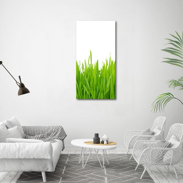Fotografía en lienzo vertical Hierba verde