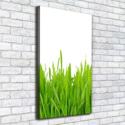 Fotografía en lienzo vertical Hierba verde