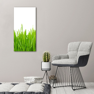 Fotografía en lienzo vertical Hierba verde