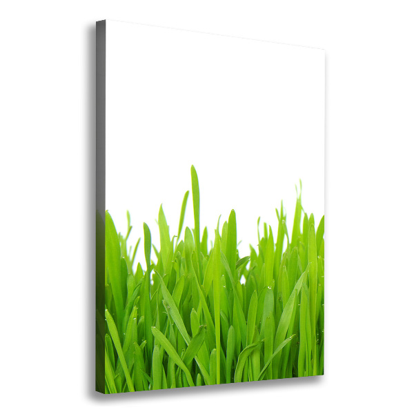 Fotografía en lienzo vertical Hierba verde