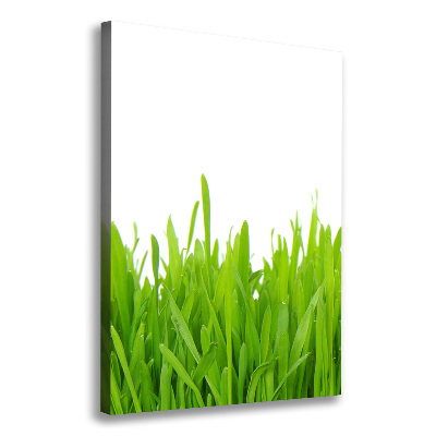 Fotografía en lienzo vertical Hierba verde