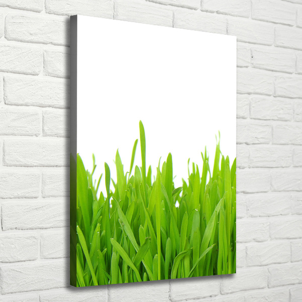 Fotografía en lienzo vertical Hierba verde