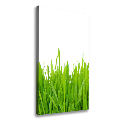 Fotografía en lienzo vertical Hierba verde