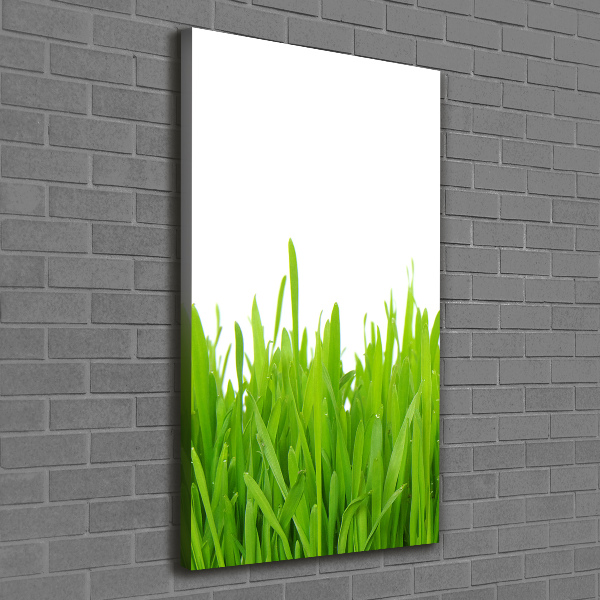 Fotografía en lienzo vertical Hierba verde