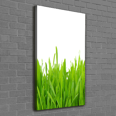 Fotografía en lienzo vertical Hierba verde