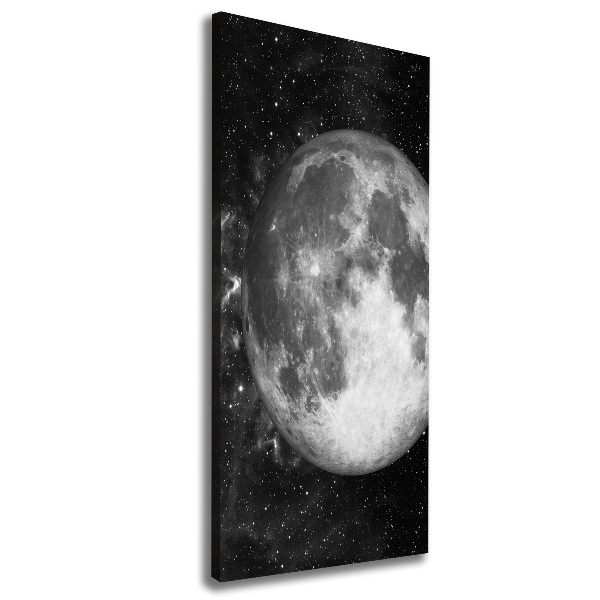 Cuadro canvas decorativo para salón vertical Luna