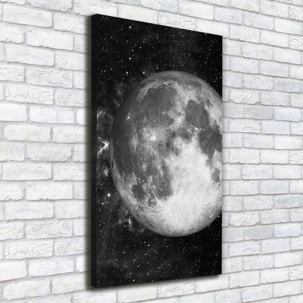 Cuadro canvas decorativo para salón vertical Luna