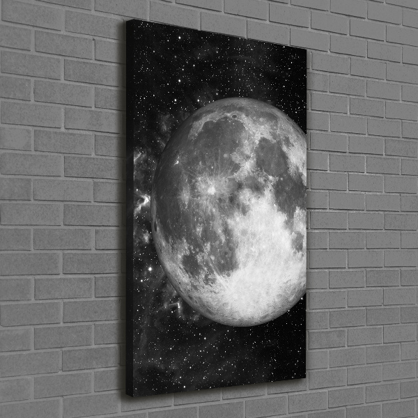 Cuadro canvas decorativo para salón vertical Luna