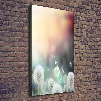 Fotografía en lienzo vertical Dientes de león