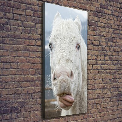 Cuadro moderno en lienzo resistente uv vertical Caballo blanco loco