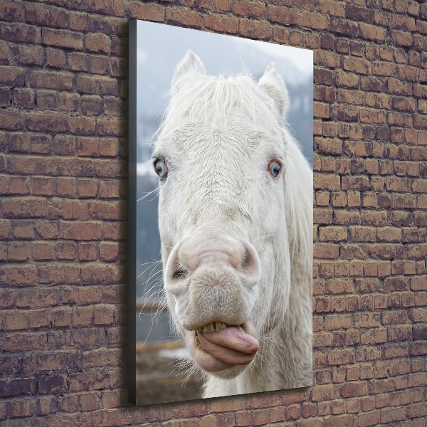 Cuadro moderno en lienzo resistente uv vertical Caballo blanco loco