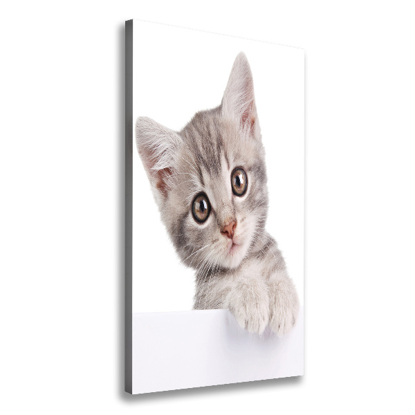 Fotografía en lienzo vertical gato gris