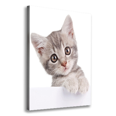Fotografía en lienzo vertical gato gris