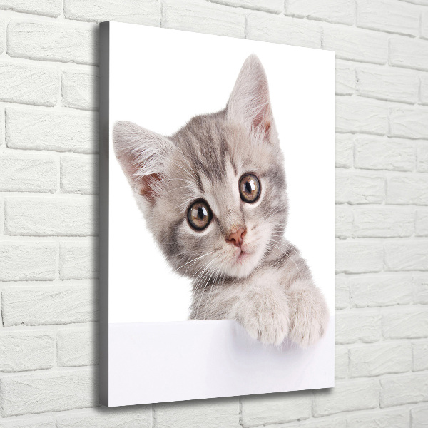 Fotografía en lienzo vertical gato gris