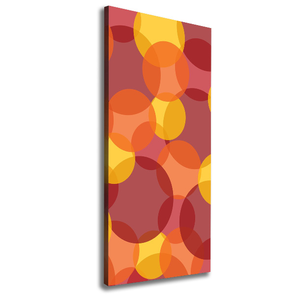 Cuadro moderno en lienzo resistente uv vertical Círculos de colores