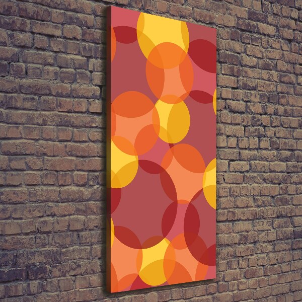 Cuadro moderno en lienzo resistente uv vertical Círculos de colores