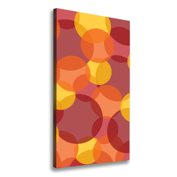 Cuadro moderno en lienzo resistente uv vertical Círculos de colores
