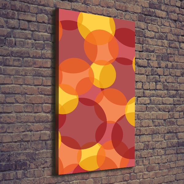Cuadro moderno en lienzo resistente uv vertical Círculos de colores
