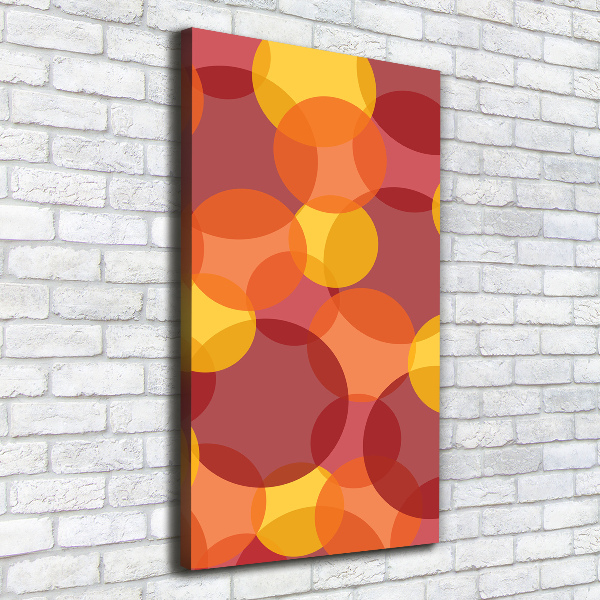 Foto-obraz canvas na ramie Kolorowe kółka