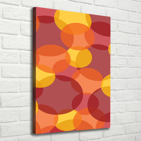 Foto-obraz canvas na ramie Kolorowe kółka