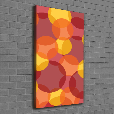 Cuadro moderno en lienzo resistente uv vertical Círculos de colores