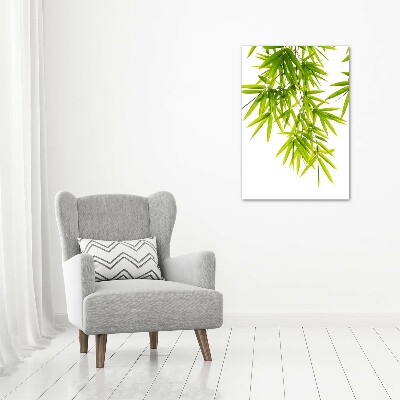 Foto-obraz canvas do salonu Liście bambusa