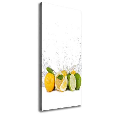 Fotografía en lienzo vertical Frutas cítricas