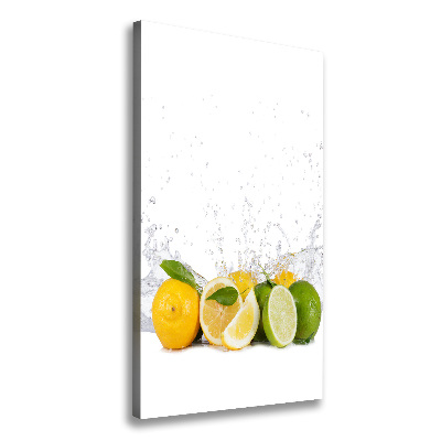 Fotografía en lienzo vertical Frutas cítricas