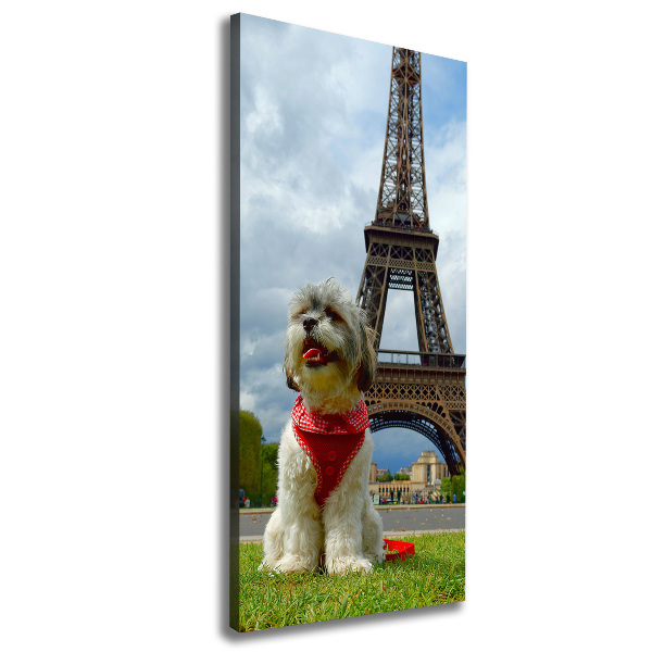Cuadro canvas decorativo para salón vertical Un perro en París