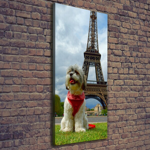 Cuadro canvas decorativo para salón vertical Un perro en París