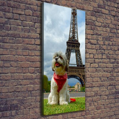 Cuadro canvas decorativo para salón vertical Un perro en París
