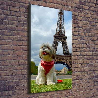 Cuadro canvas decorativo para salón vertical Un perro en París