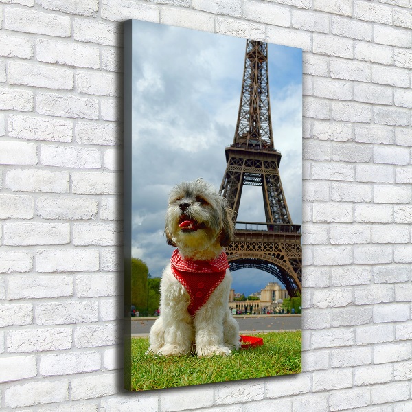 Cuadro canvas decorativo para salón vertical Un perro en París