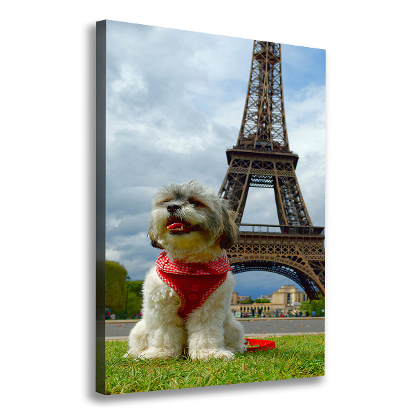Cuadro canvas decorativo para salón vertical Un perro en París