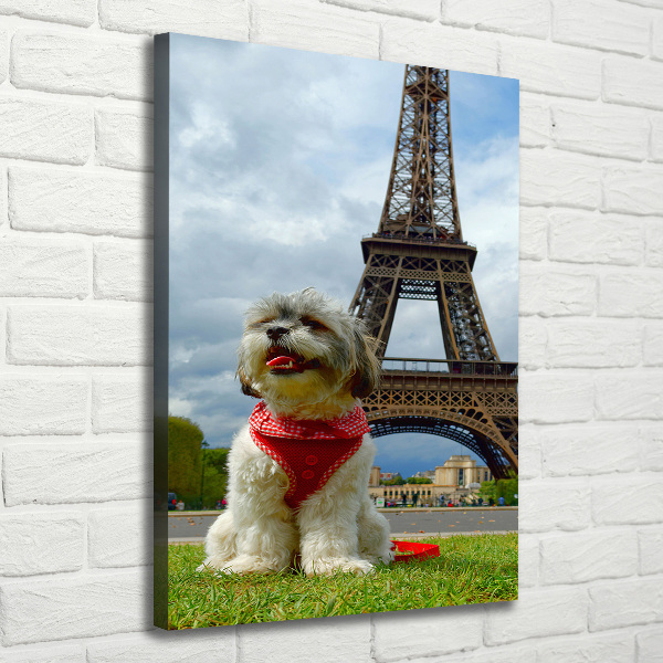 Cuadro canvas decorativo para salón vertical Un perro en París