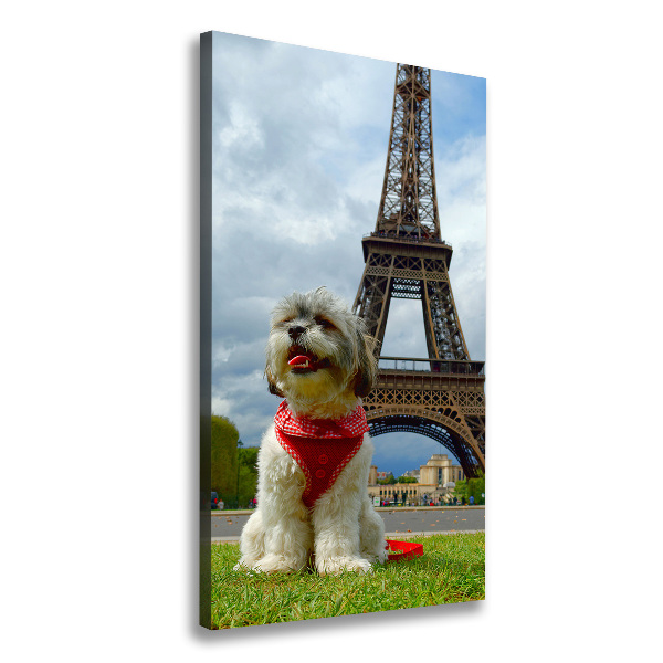 Cuadro canvas decorativo para salón vertical Un perro en París