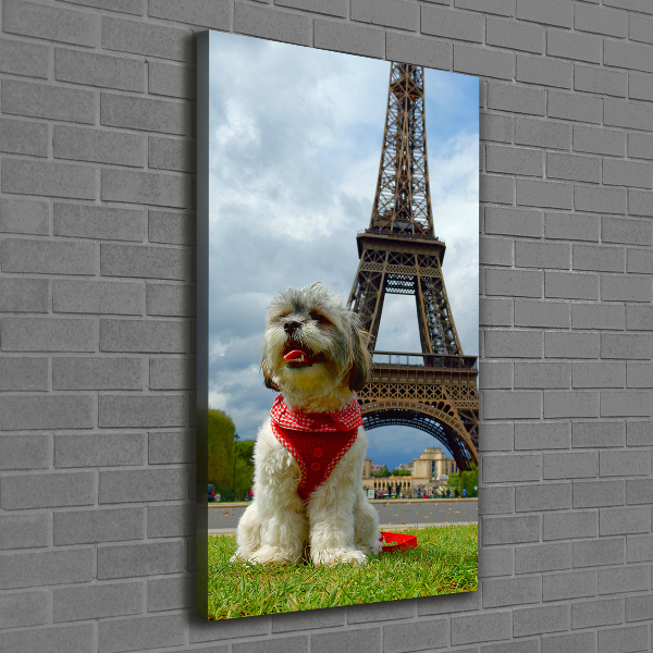 Cuadro canvas decorativo para salón vertical Un perro en París