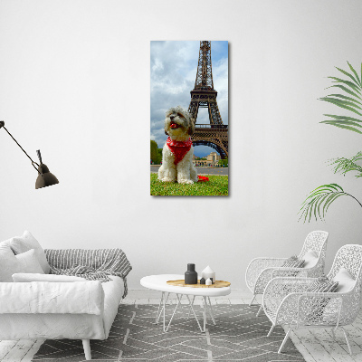 Cuadro canvas decorativo para salón vertical Un perro en París
