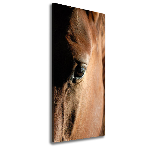 Cuadro moderno en lienzo resistente uv vertical Caballo
