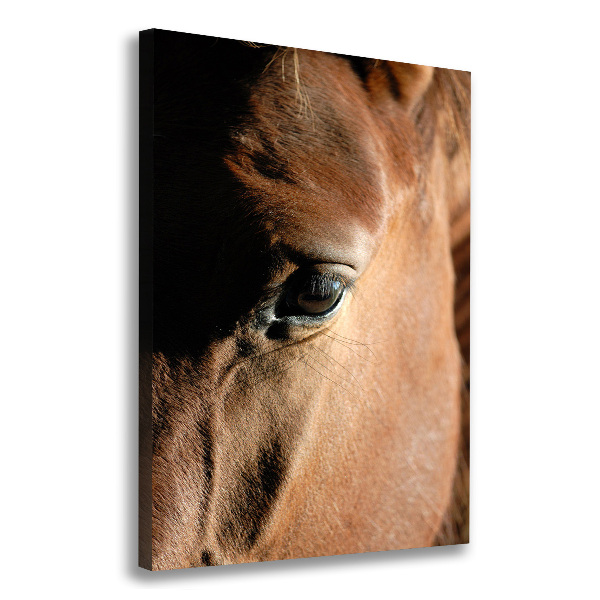 Cuadro moderno en lienzo resistente uv vertical Caballo