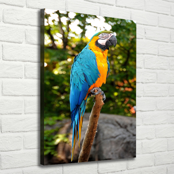 Cuadro canvas decorativo para salón vertical Loro guacamayo