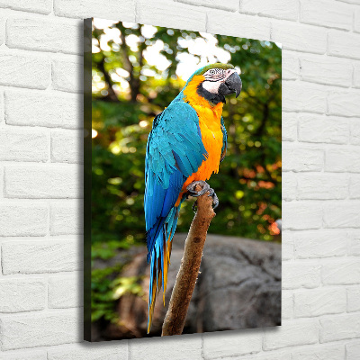 Cuadro canvas decorativo para salón vertical Loro guacamayo